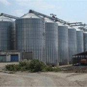 Зернохранилища под ключ, проектирование строительство зернохранилища в украине фотография