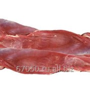 Вырезка из мяса говядины фото