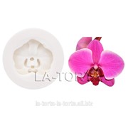 Молд Орхидея фаленопсис фотография