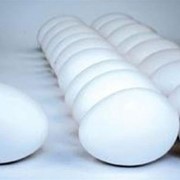 Яйцо - Премиум (вес 72гр. и более) фото