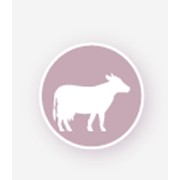 Комбикорма для дойных коров