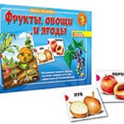 Настольная игра Школа малыша “Фрукты, овощи и ягоды“, Рыжий кот, ИН-8132 фото