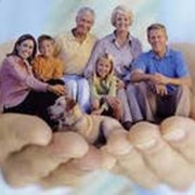 Страхование фото