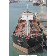 Поиск и подбор персонала, подготовка лиц для морской отрасли. фото