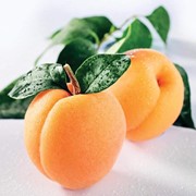 Саженцы абрикоса : Янтарный, Аденис, Пасынок, Запорожец