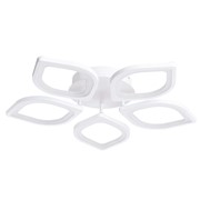 Потолочные светильники Arte Lamp POLLI A2531PL-5WH фото