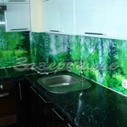 Кухонный фартук из стекла (Скинали) в стилистике леса фото