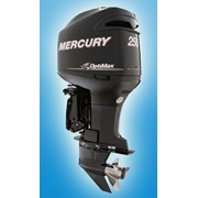 Лодочный мотор Mercury 250 XL OptiMax фото