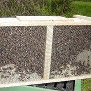 Инвентарь пчеловодческий