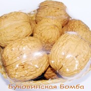 Сортовые саженцы грецкого ореха Сорт Буковинская Бомба фото