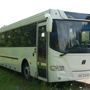Автобус 520123 - 260 фото