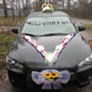 Заказ автомобилей фото