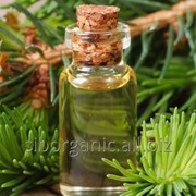 Essential oil of pine ordinary