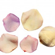 Украшения из натуральных засахаренных лепестков роз Fresh Origins Crystallized Rose Petals (№ RosePetals)