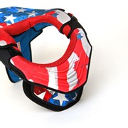 Ошейник Leat Brace Club AmeriCan Flag фото