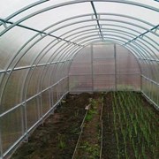 Теплица из ДВОЙНОЙ ЗАМКНУТОЙ трубы Вечная 10 м шаг 67см фото