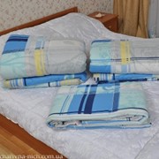 Одеяло размер 200Х220 мм арт 203 фото