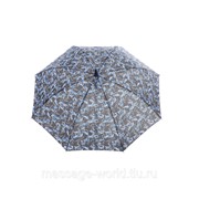 Зонт-трость Ferre Milano Черный с синим (591) фотография
