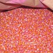 Семена кукурузы Оржица 237 МВ (ФАО 230) F1.