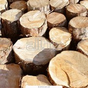 Переработка древесины фотография