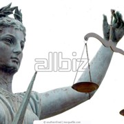 Ведение дел в арбитражных и третейских судах