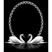 Гравировка Лебеди фотография