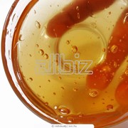 Мед гречишный опт, розница Сумы, Украина фото