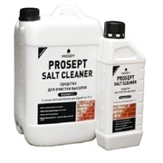 УдалитЕль высолов с минеральных поверхностей PROSEPT SALT CLEANER - концентрат 1:2, 1 литр фото