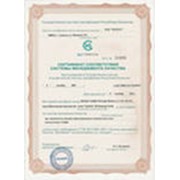 Сертификат происхождения СТ-1 фото