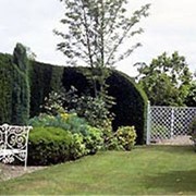 Пейзажный стиль сада, Английский стиль