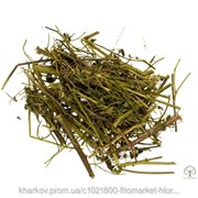 Трава Астрагала шерстистоцветкового 100 грамм (Astragalus dasyanthus) фотография