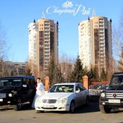 Прокат мерседесов в г. Павлодар - Седан Mersedes-Benz E-class W211 фотография