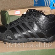 Зимние ботинки Adidas Daroga фото