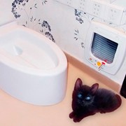 Автоматический туалет для кошек фотография