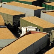 Перевозка зерна по Украине фото