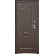 Двери входные домовые Toodoors Premium 02-02