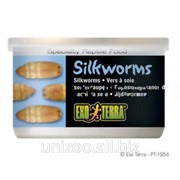 Корм для рептилий Тутовый шелкопряд Hagen Exo Terra Silkworms