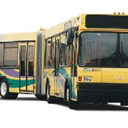 Автобус 105065