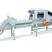 Машины для обработки лука Sormac `Модель USM-X100`