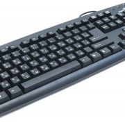 Keyboard Genius Comfy KB-06XE фотография