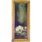 Картина "Водяная лилия" стекло,масло б/автора 19 век размер 36 х 100