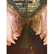 Мясопереработка фото