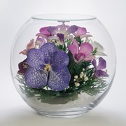 Орхидея в стекле BL-o1 фото
