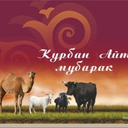 Продажа животных на Курбан Айт фото