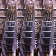Лестница приставная 16 ступеней ПРОФИ фотография
