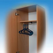 Шг-2 Шкаф-гардероб, Шкафы гардеробные фото