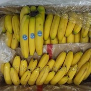 Бананы (Эквадор) фото