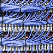 Монтаж Локальных сетей. Настройка локальных сетей. фото