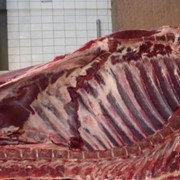 Мясо свинина полутуши охлажденное