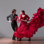 Фламенко, Flamenco, Южно-испанская (андалусийская) народная музыка фото